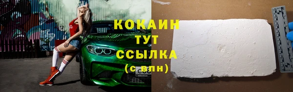 гашик Кодинск
