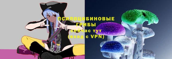 гашик Кодинск