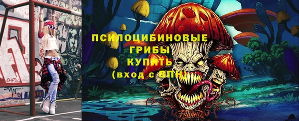 2c-b Козельск