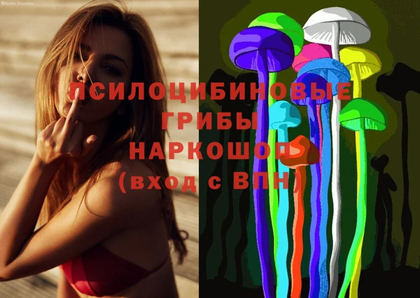 2c-b Козельск