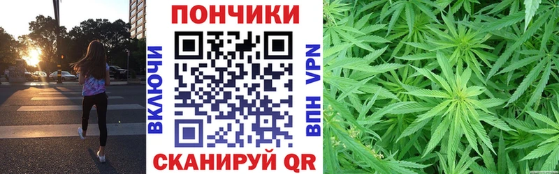 Бошки марихуана сатива  Купить закладки  Дзержинский 